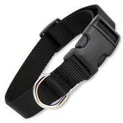 Collar For Nordpaw