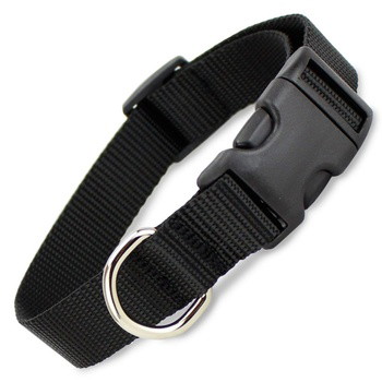 Collar For Nordpaw