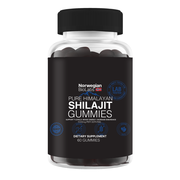 1x Shilajit Gummies
