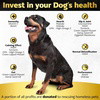 Osmo DoggoJoint