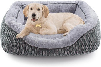 NestBuddy