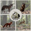 CoyoteMaster