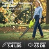 Osmo Leaf Blower