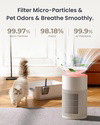 Osmo AirPurify Pro