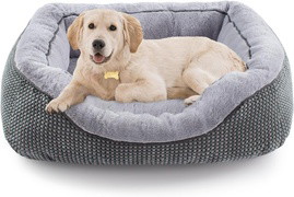 NestBuddy