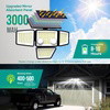 Osmo Solar Lights
