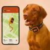 NordPaw Dog GPS (SALE)