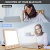 1x SunnyLight 2.0