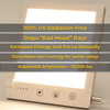 2x SunnyLight 2.0
