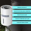 AirMistify Pro