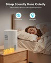 Mivo Dehumidifier
