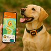 NordPaw Dog GPS (SALE)