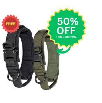 NordPaw GPS Collars
