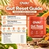 OVA9 Gut Reset Complex