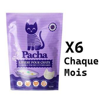 6 chats -