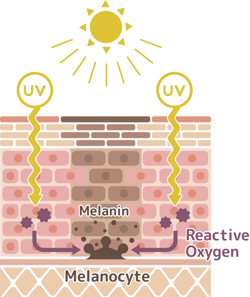 Sun Damage to Skin