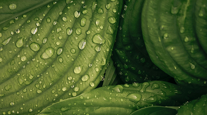 Values images 1