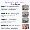 Total Transformation Bundle + 7 Free Gifts