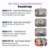 Portable Pilates Reformer + 90 Day Bootcamp