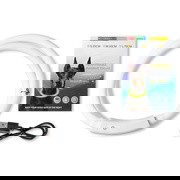 RadPaws LED Pet Collar