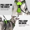 LED Harness