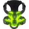 RadPaws LED Harness