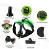 RadPaws LED Harness