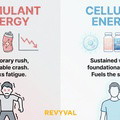 14-Day Cellular Energy Protocol - image 4