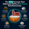 Gut Barrier Repair - Reflux Relief