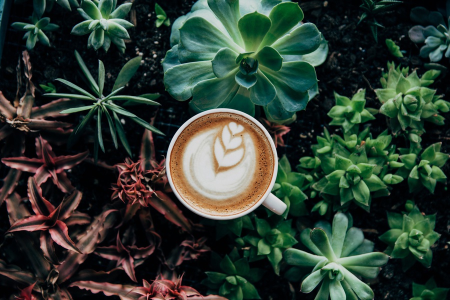 The Best Coffee Post