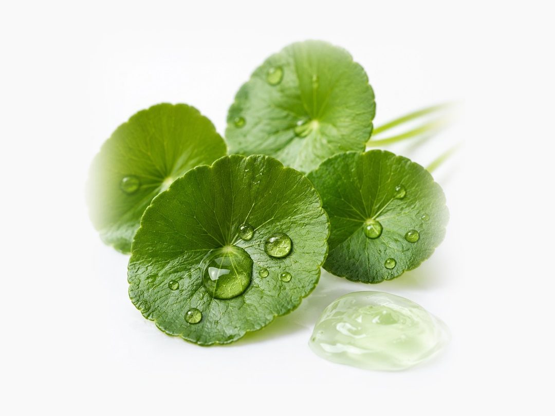 Centella and vitamin E