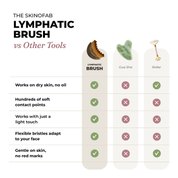 The Lymphatic Brush