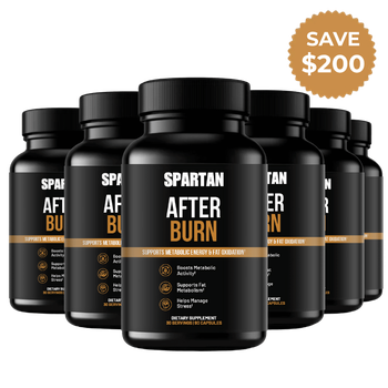 6x AfterBurn