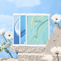 The Calm Planners - Digital Download