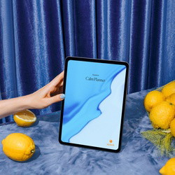 The Calm Planners - Digital Download
