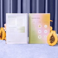 The Emotions Journal - Replo Edit