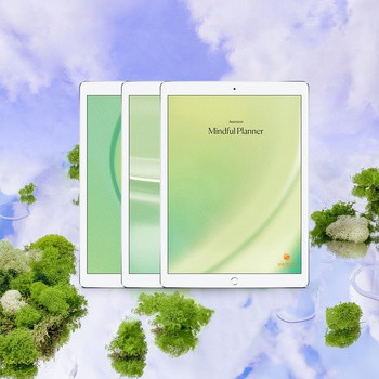 The Mindful Planners - Digital Download