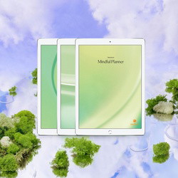 The Mindful Planners - Digital Download