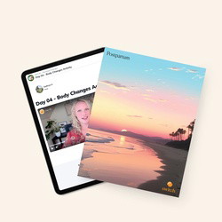The Postpartum Journal