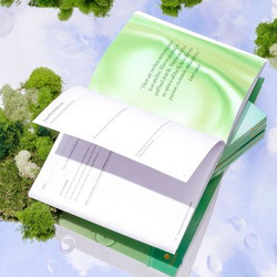 The Mindful Planners