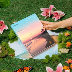 The Postpartum Journal