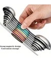 Magnetic Measuring Spoon Set (PRE ORDER - 4-6 WEEKS)