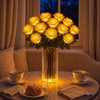 Blissful Blooming Roses