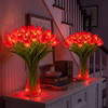 Radiant Romantic Tulip Light - BC ID: 1015