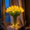Radiant Romantic Tulip Light - BC ID: 437