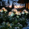 Fairy Hydrangea Lights - BC ID: 347
