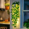 Verdant Vine Planter - BC ID: 618