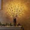 Enchanted Willow Vine - BC ID: 155