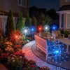 Sparkling Spectacle Light - BC ID: 950