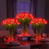 Radiant Romantic Tulip Light - BC ID: 437